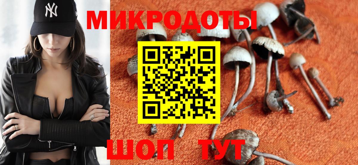 Псилоцибиновые грибы прущие грибы Октябрьский