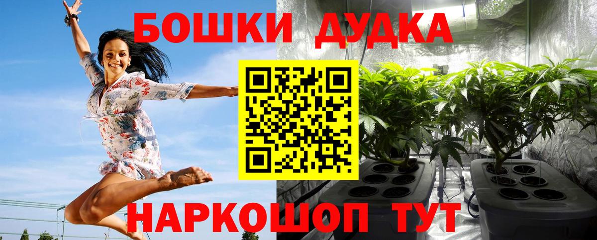 Конопля LSD WEED  МАРИХУАНА ГИДРОПОН  Шишки марихуана SATIVA & INDICA  Октябрьский 